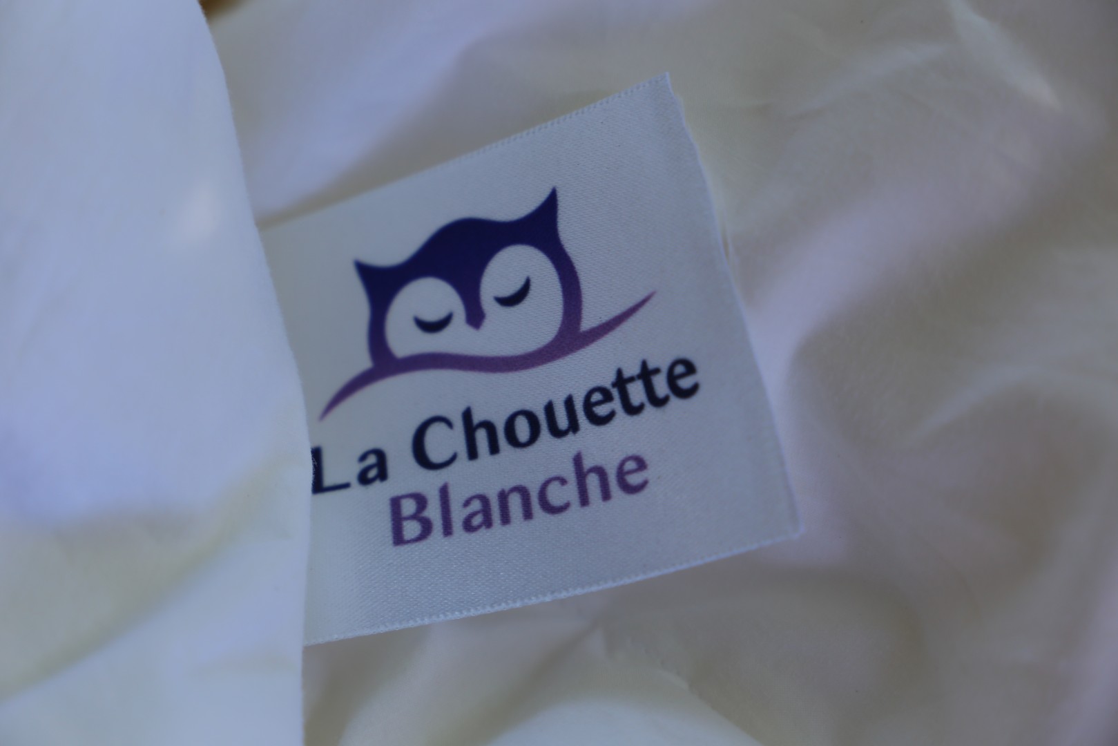 La Chouette Blanche - oreiller Plumes, très ferme, 65X65 cm