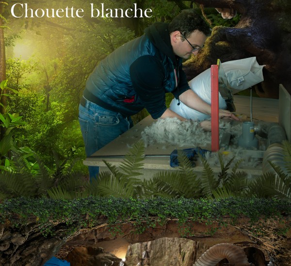 La Chouette Blanche - Accessoires literie en duvet d'oie et canard