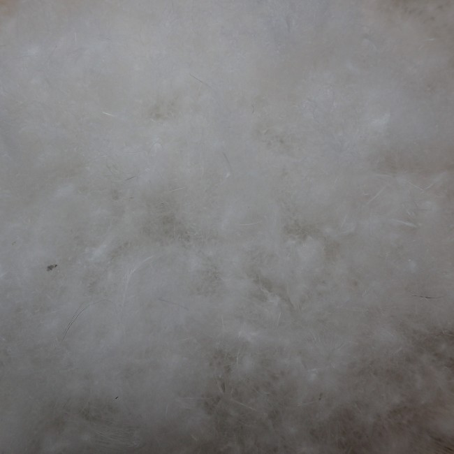 Couette Naturelle, Duvet de canard, Tempérée, 200x200 cm 